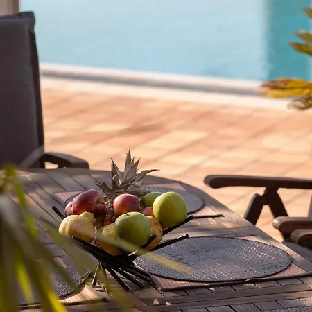 3 Palm Villa Chalkís