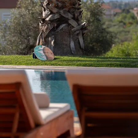 3 Palm Villa וילה Chalkís