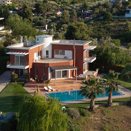 3 Palm Villa